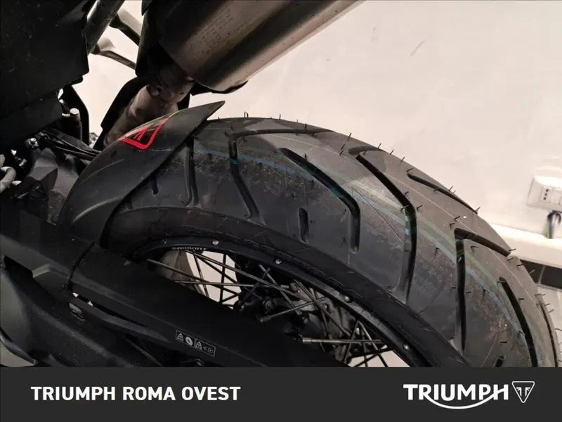 Triumph Tiger 900 Rally (2020 - 23) (12)