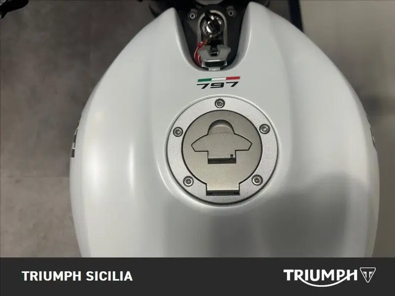 Ducati Monster 797 Plus (2019) (7)