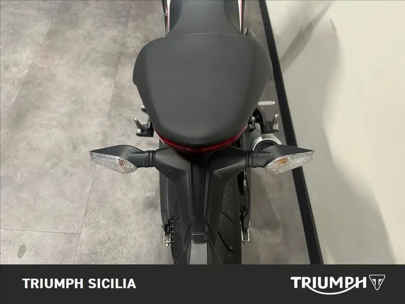 Ducati Monster 797 Plus (2019) (10)