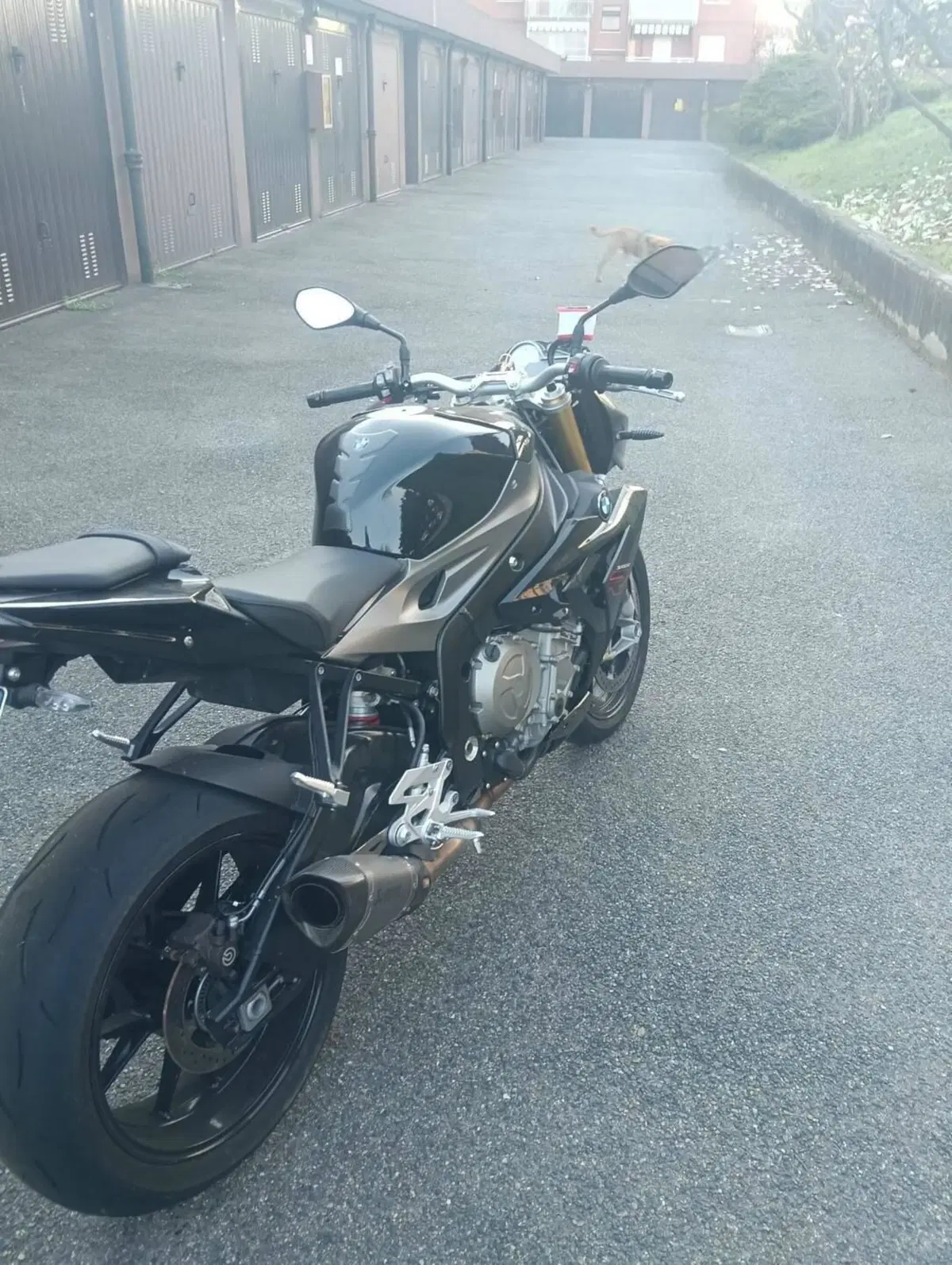 Bmw S 1000 R (2014 - 16) (5)