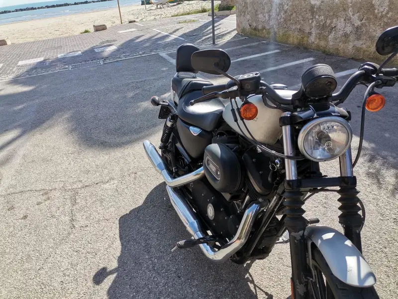 Harley-Davidson 883 Iron (2009 - 11) - XL 883N (2)