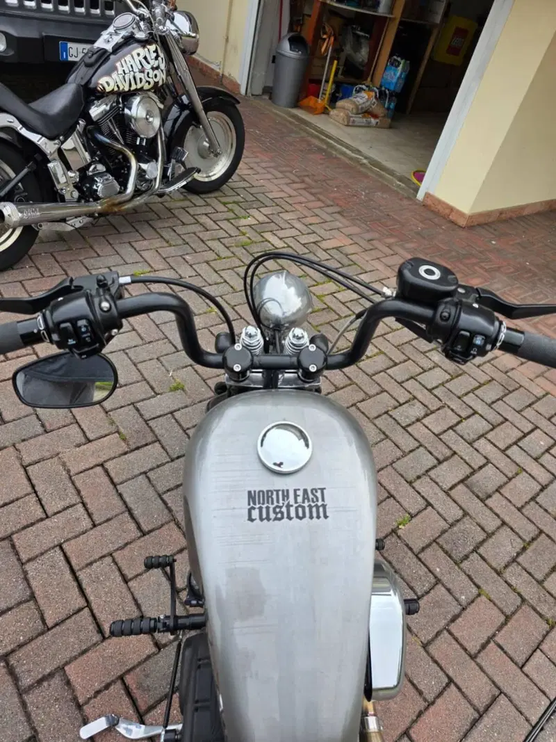 Harley-Davidson 1200 Forty-Eight (2010 - 15) (2)