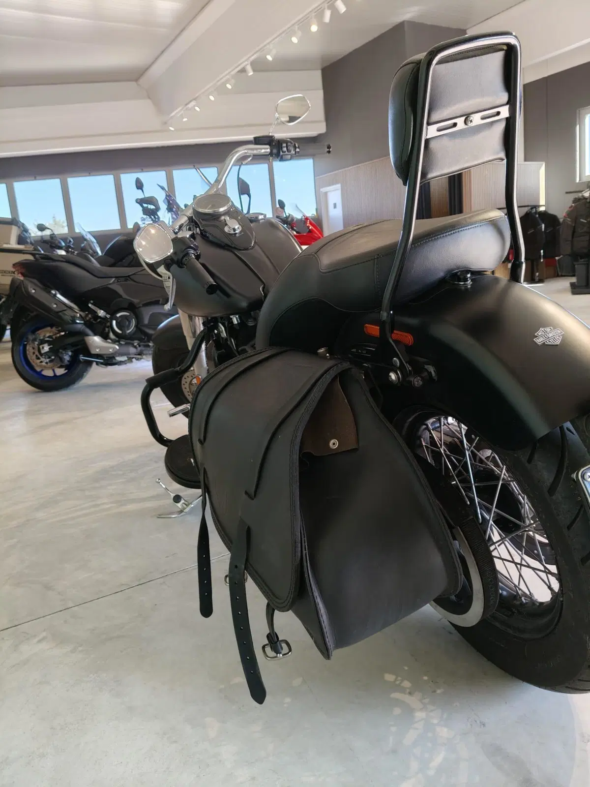 Harley-Davidson 1690 Slim (2017) - FLS (3)