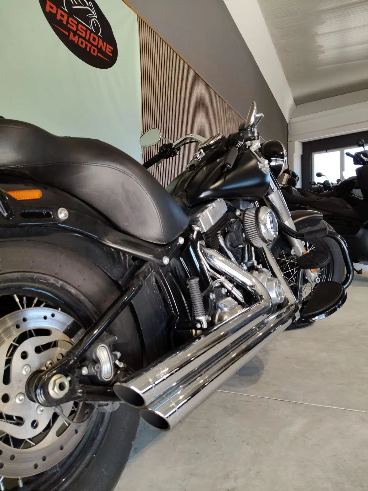 Harley-Davidson 1690 Slim (2017) - FLS (5)