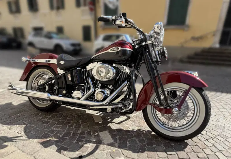Harley-Davidson 1584 Springer Classic (2006 - 07) - FLSTSC (3)