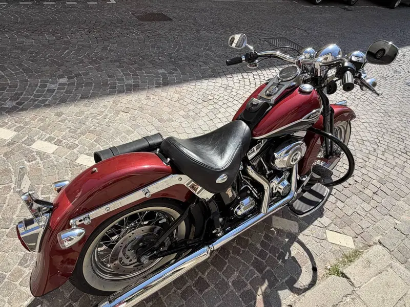 Harley-Davidson 1584 Springer Classic (2006 - 07) - FLSTSC (7)