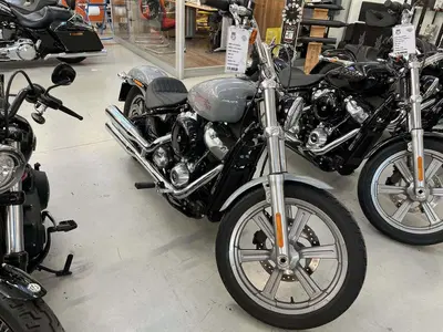 Harley-Davidson Softail Standard (2020) - FXST usata