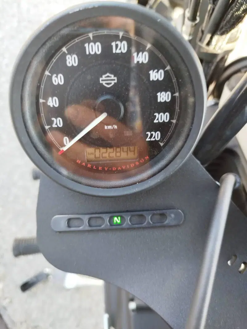 Harley-Davidson 883 Iron (2014 - 16) - XL 883N (7)