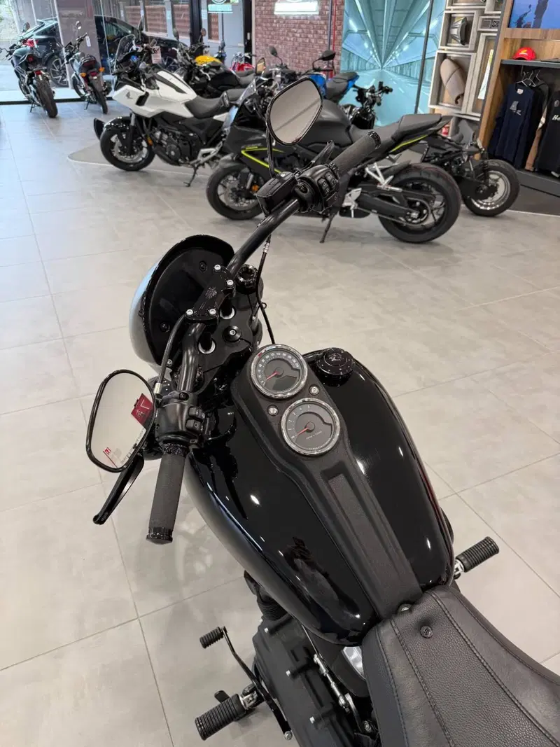 Harley-Davidson 114 Low Rider S (2020) - FXLRS (8)