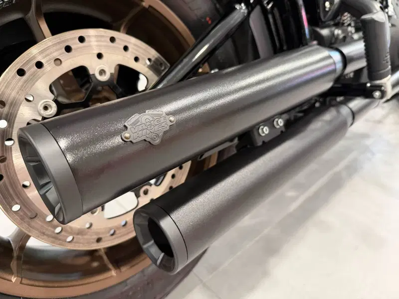 Harley-Davidson 114 Low Rider S (2020) - FXLRS (15)