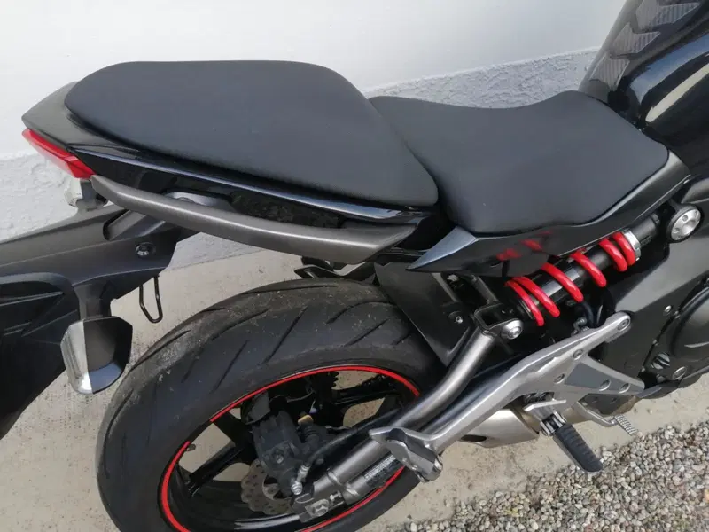 Kawasaki ER-6N (2012 - 13) (2)
