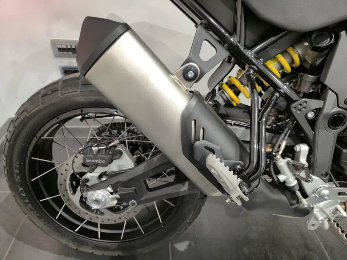 Ducati DesertX (2022 - 25) (12)