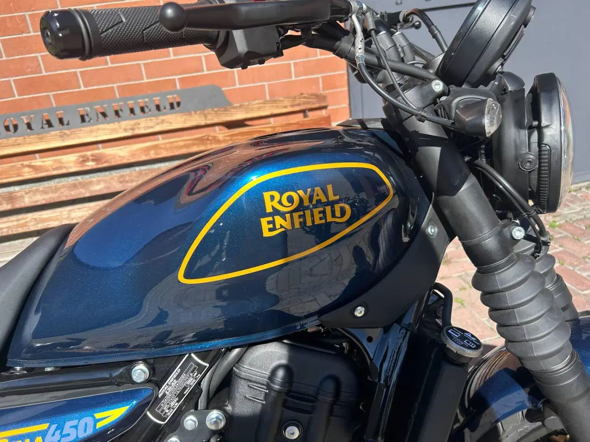 Royal Enfield Guerrilla 450 (2024 - 26) (5)