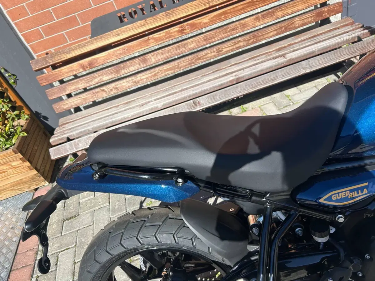 Royal Enfield Guerrilla 450 (2024 - 26) (7)