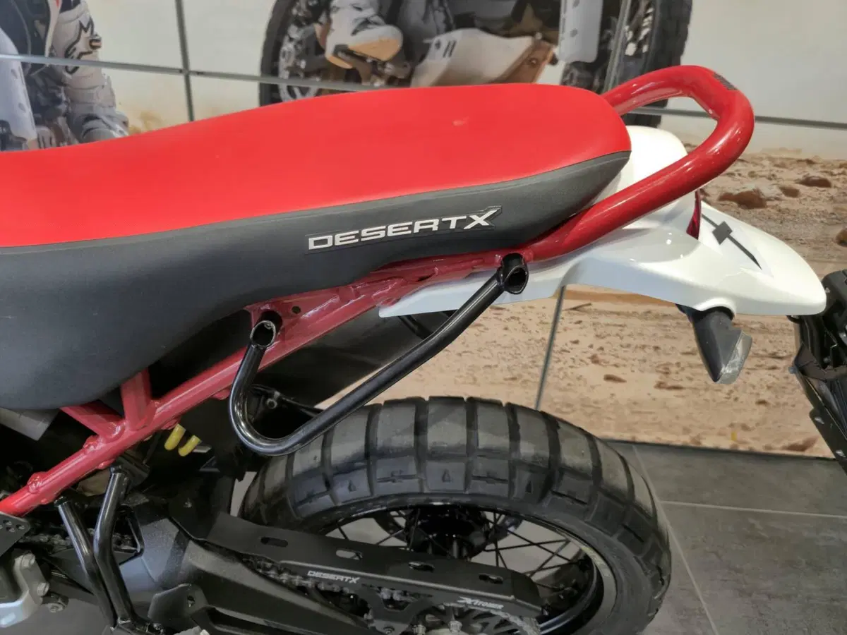 Ducati DesertX Rally (2024 - 25) (7)