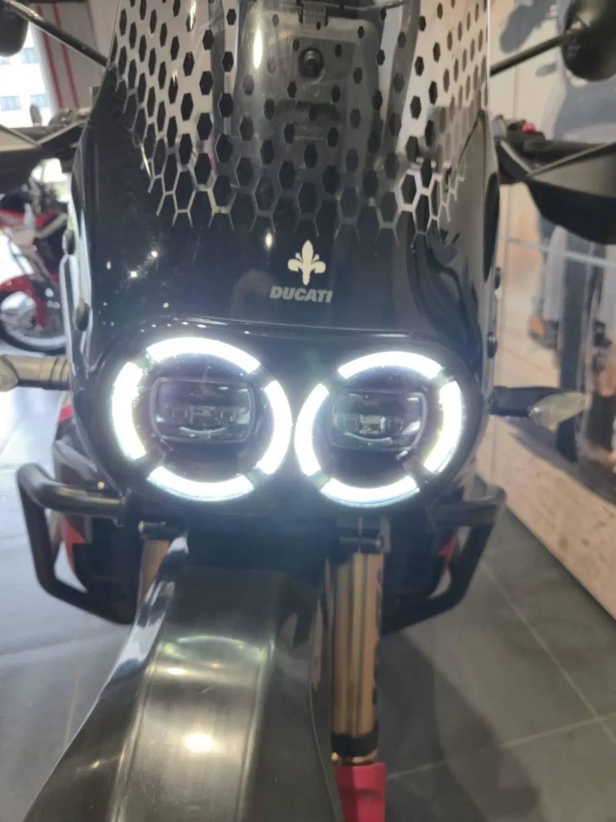 Ducati DesertX Rally (2024 - 25) (13)
