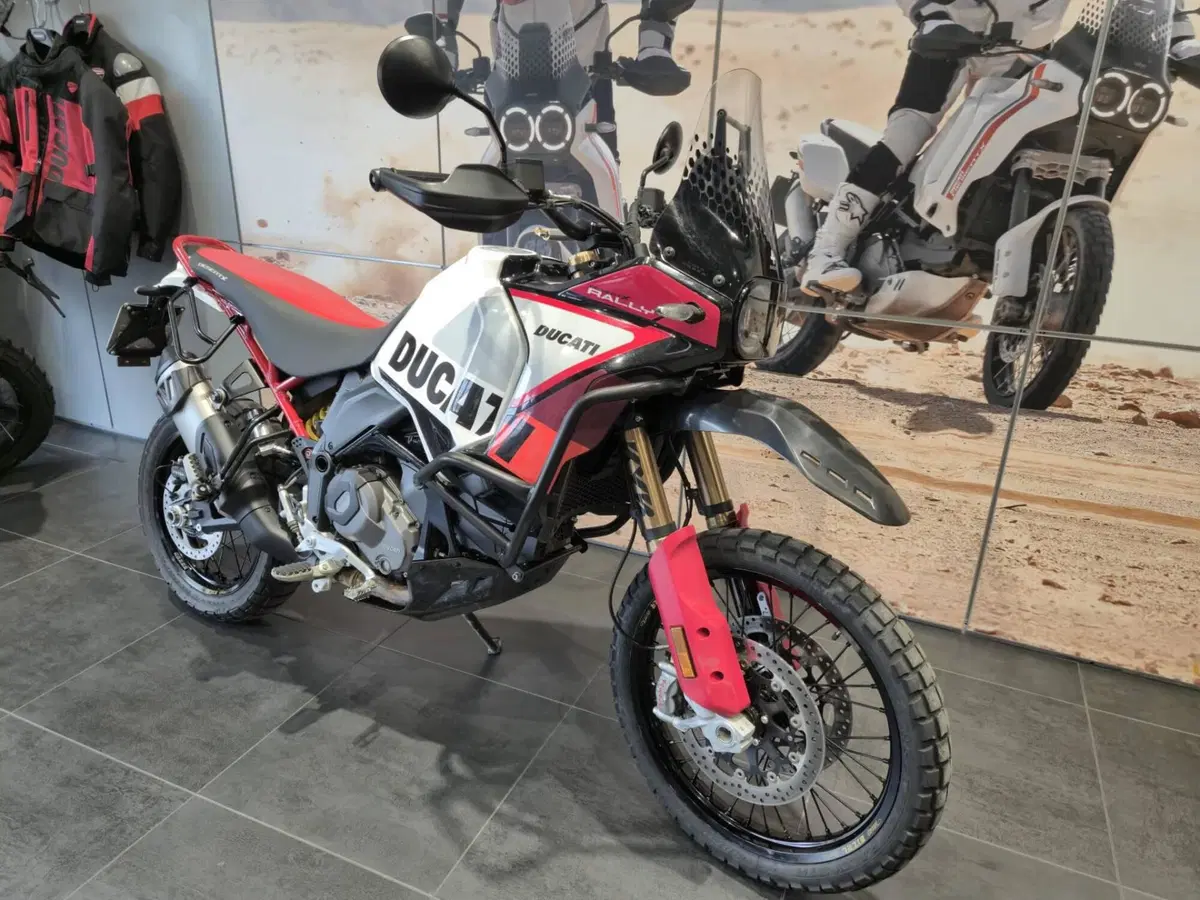 Ducati DesertX Rally (2024 - 25) (4)