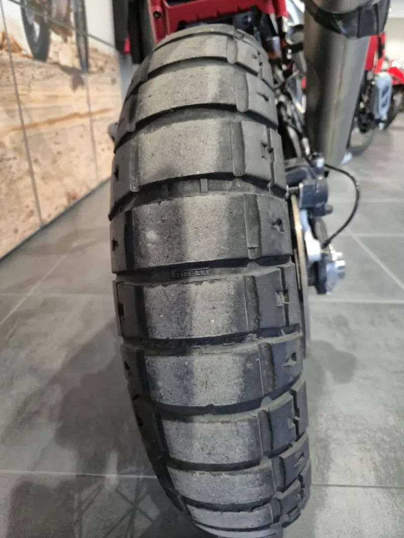 Ducati DesertX Rally (2024 - 25) (16)