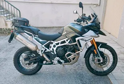 Triumph Tiger 900 Rally Pro (2024 - 26) usata