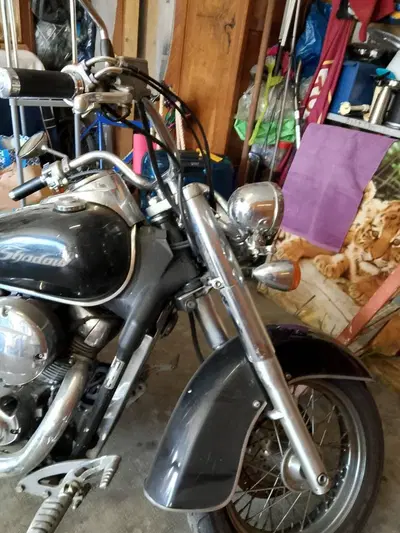 Honda Shadow 750 (2004) usata