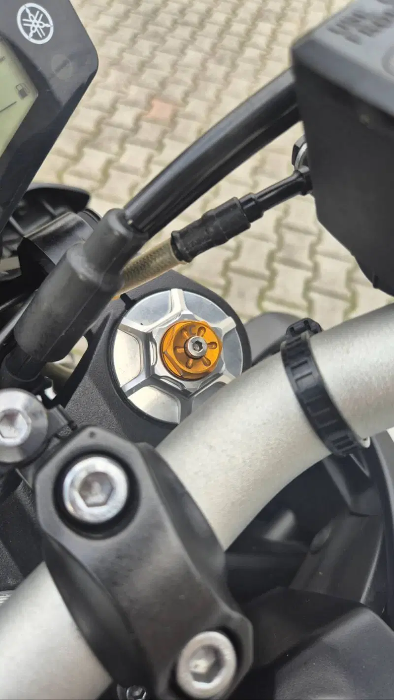 Yamaha MT-09 (2017 - 20) (11)