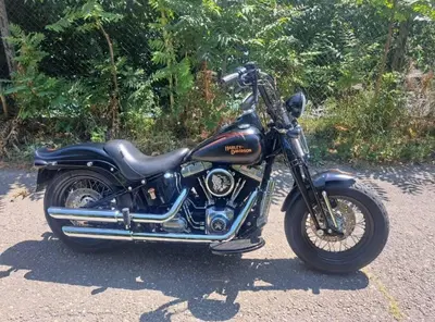 Harley-Davidson 1584 Cross Bones (2008 - 11) - FLSTSB usata