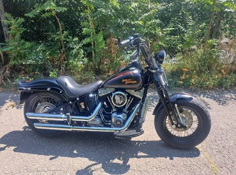 Harley-Davidson 1584 Cross Bones (2008 - 11) - FLSTSB