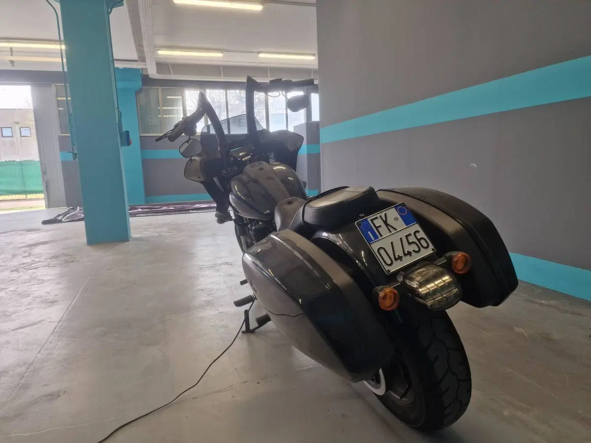 Harley-Davidson Low Rider ST (2022 - 24) (5)
