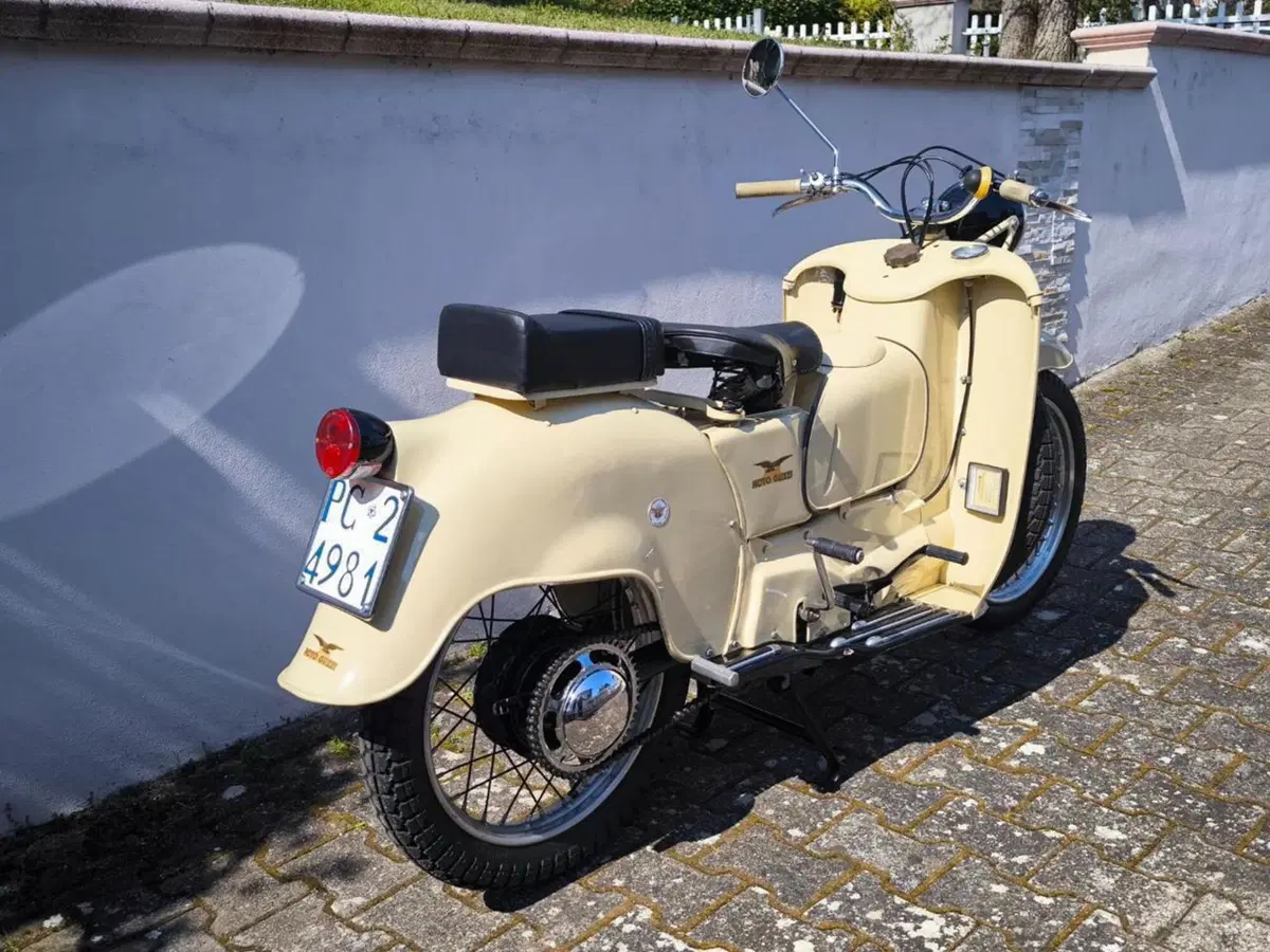 Moto Guzzi  MOTO GUZZI Galletto 192 (19)