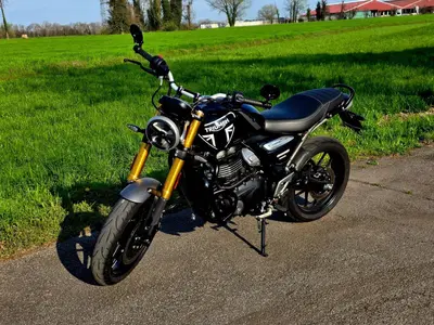 Triumph Speed 400 (2024 - 26) usata