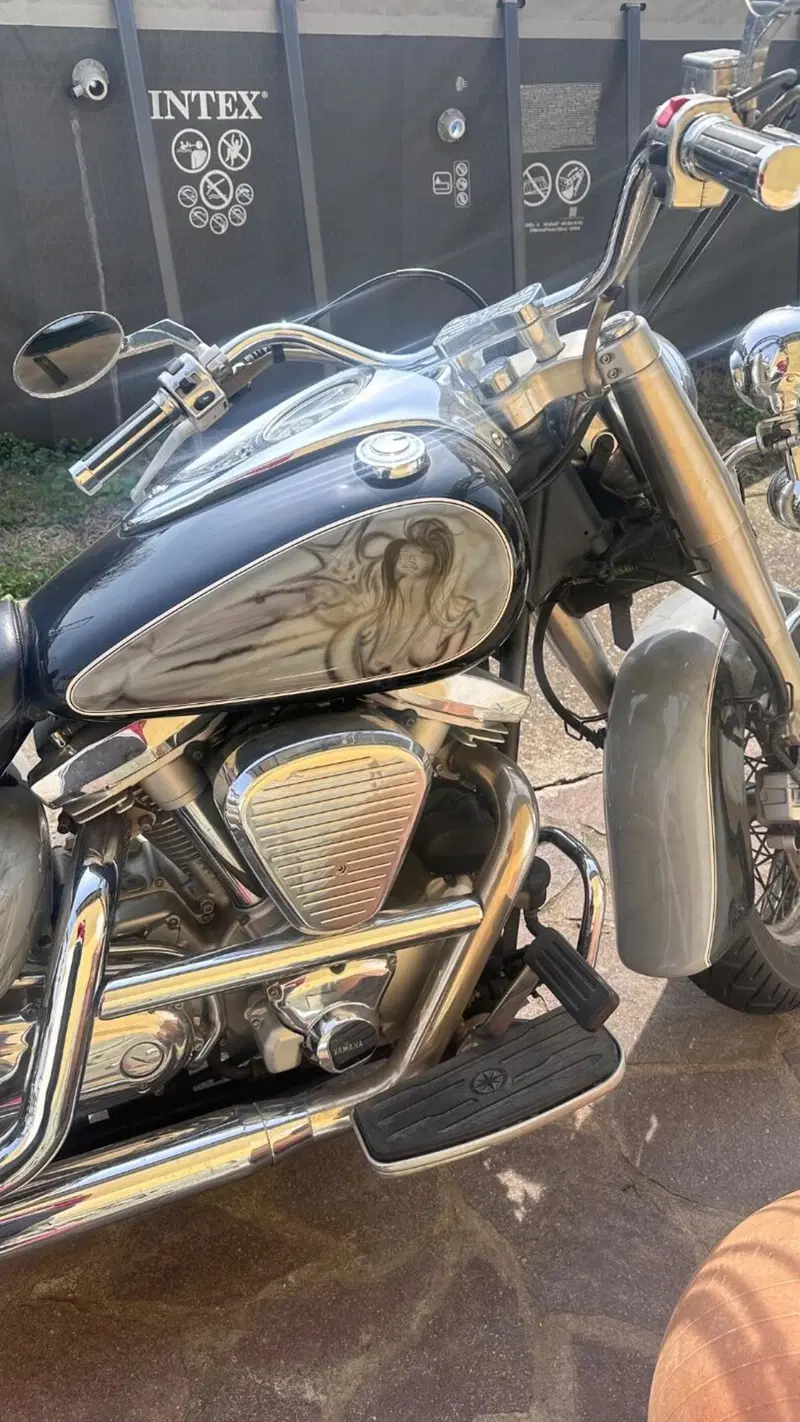 Yamaha XVS 1600 Wild Star (7)