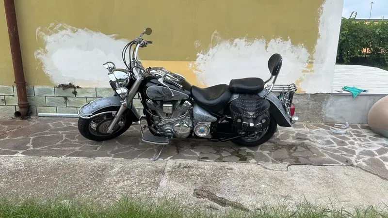 Yamaha XVS 1600 Wild Star (11)