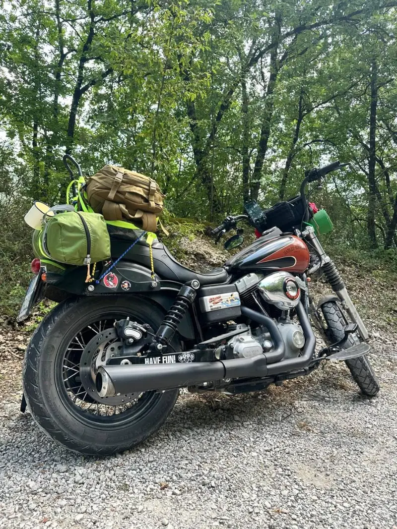 Harley-Davidson 1584 Street Bob (2008 - 15) - FXDB (2)