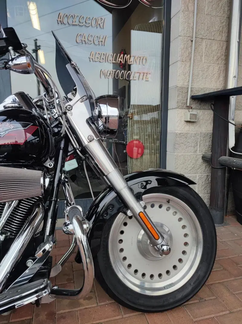 Harley-Davidson 1584 Fat Boy (2006 - 07) - FLSTF (5)