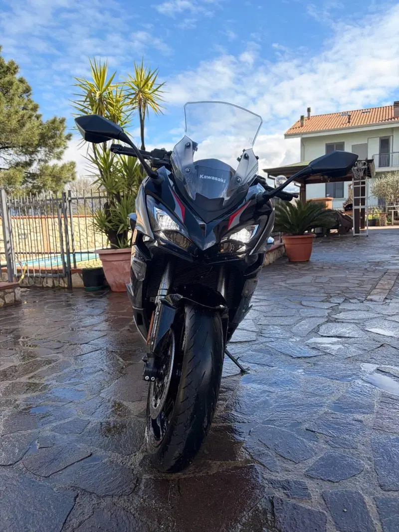 Kawasaki Ninja 1000 SX Tourer (2021 - 24)