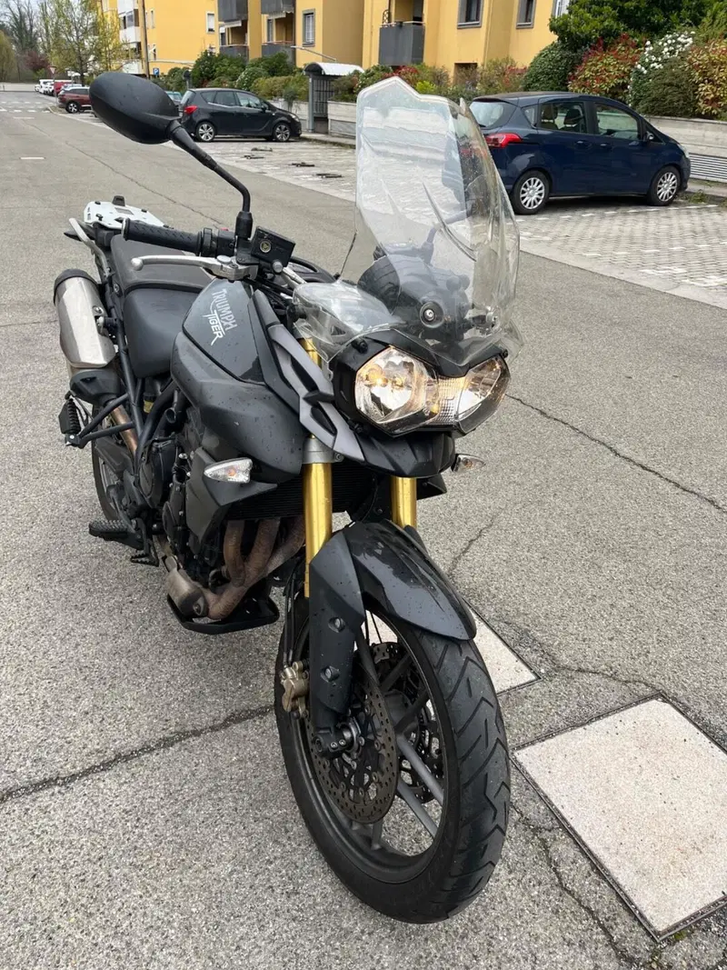 Triumph Tiger 800 ABS (2010 - 14) (4)