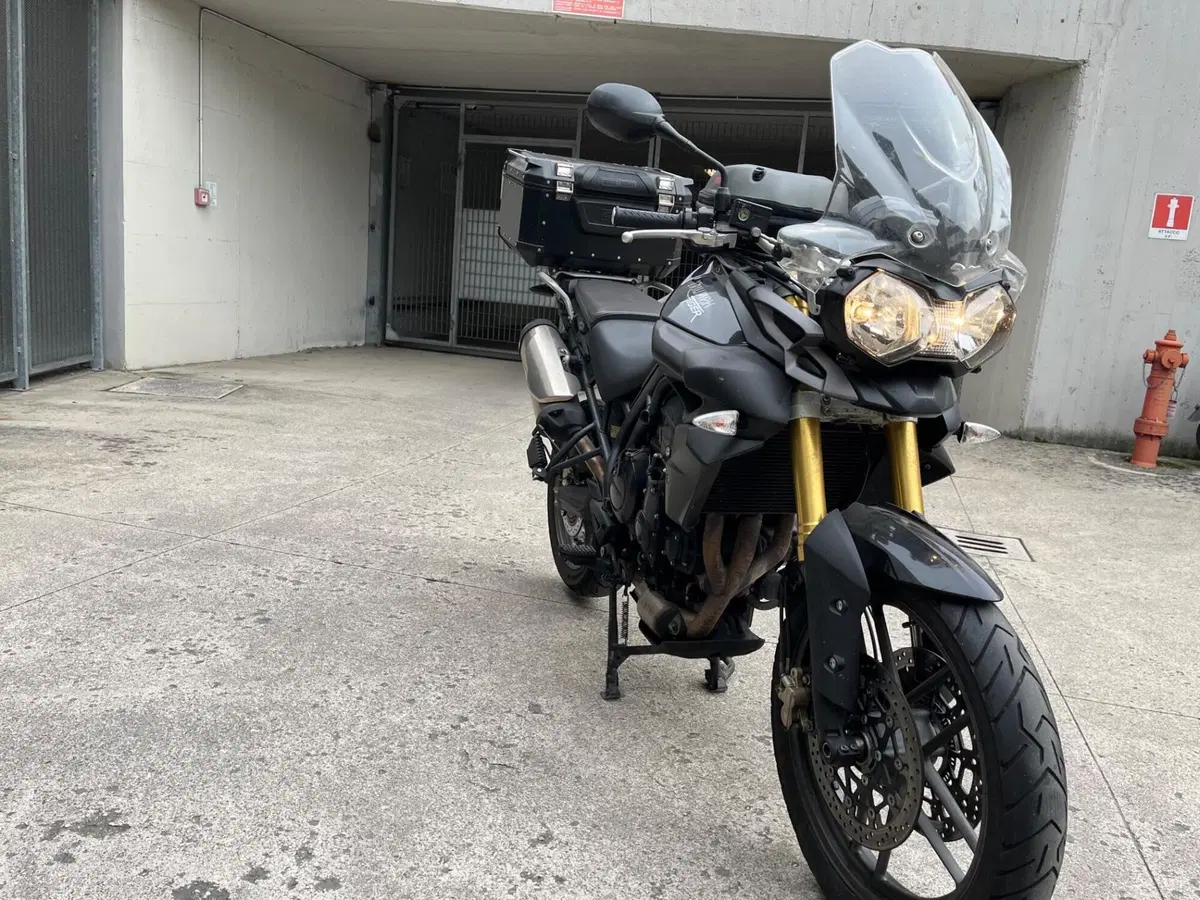 Triumph Tiger 800 ABS (2010 - 14) (10)