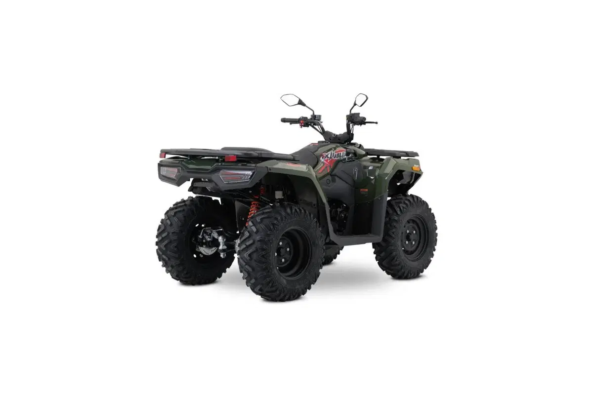 Loncin XWOLF 300 (2025 - 26) (5)