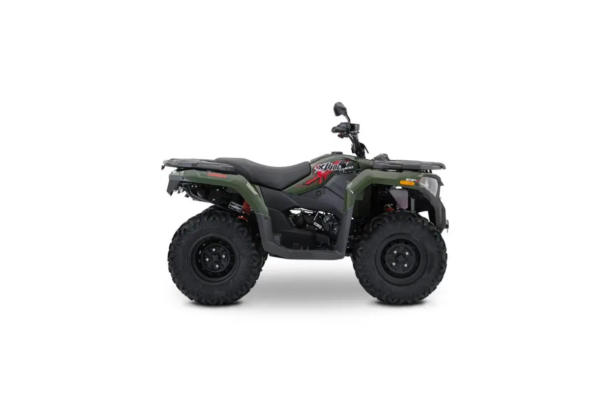 Loncin XWOLF 300 (2025 - 26) (6)