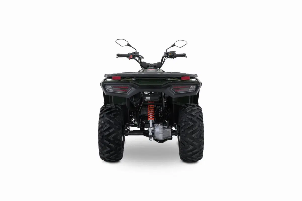 Loncin XWOLF 300 (2025 - 26) (4)