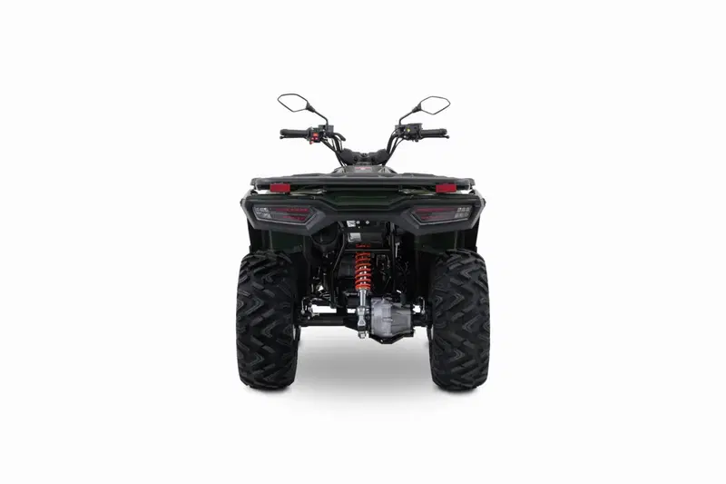 Loncin XWOLF 300 (2025 - 26) (4)