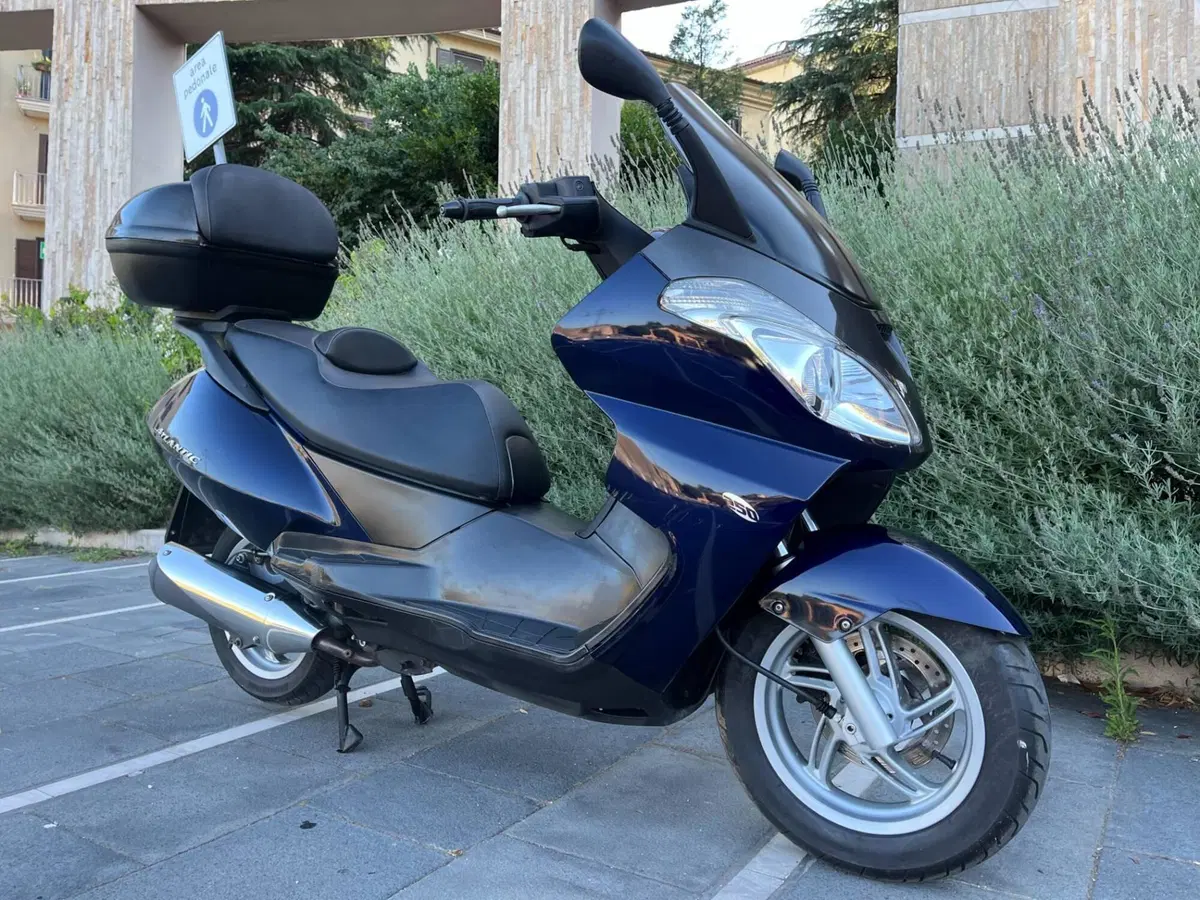 Aprilia Atlantic 250 (2004 - 11) (9)