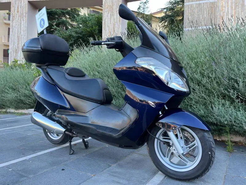 Aprilia Atlantic 250 (2004 - 11) (9)
