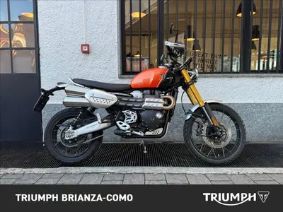 Triumph Scrambler 1200 XE (2024 - 25) usata