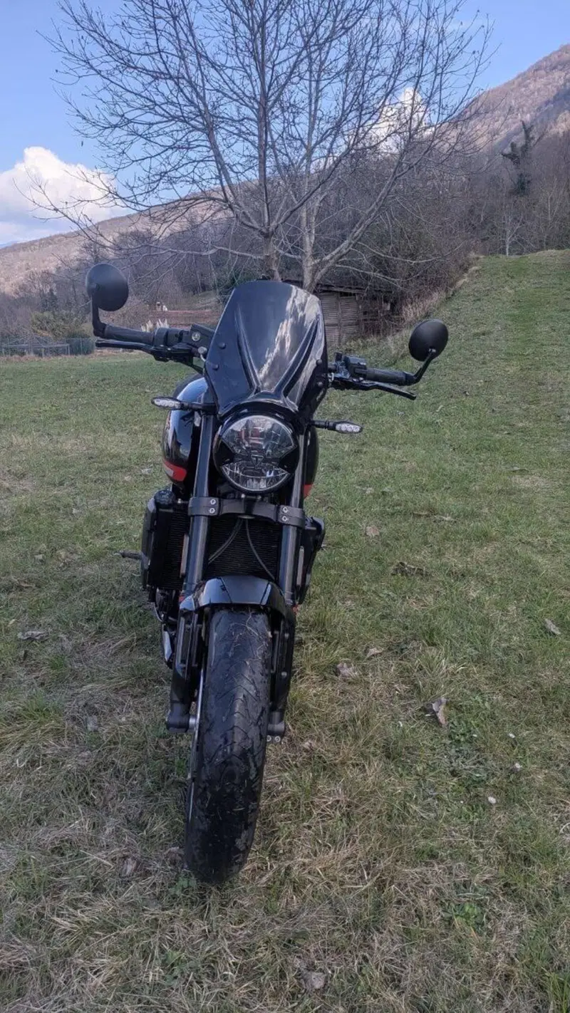 Triumph Trident 660 (2021 - 24) (3)
