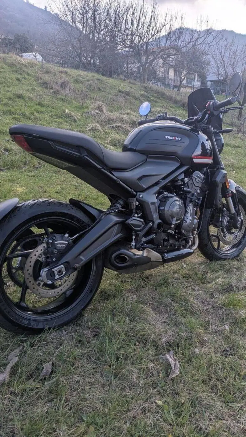 Triumph Trident 660 (2021 - 24) (6)