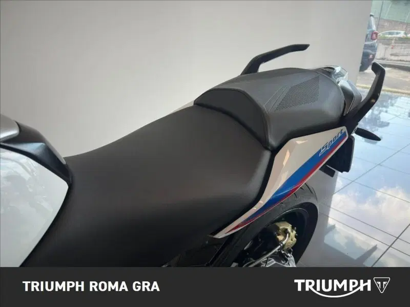 Bmw R 1250 R (2021 - 25) (13)