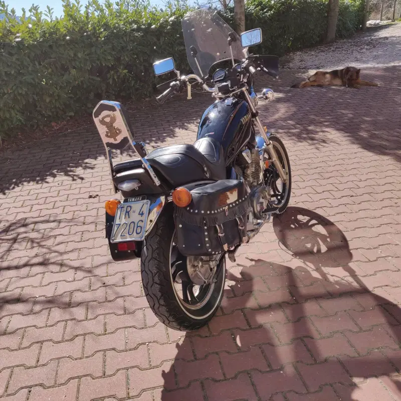 Yamaha XV 500 SE Special  (4)