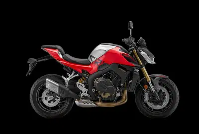 QJ Motor SRK 800 (2025 - 26) nuova