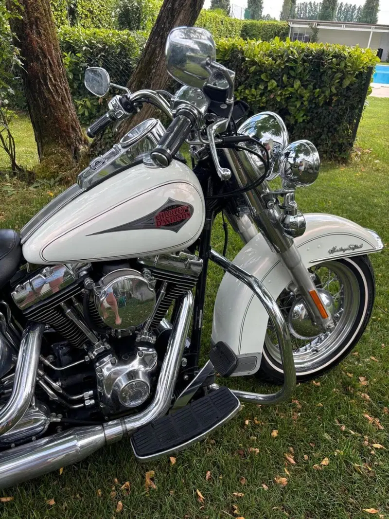Harley-Davidson 1450 Heritage Classic (1999 - 02) - FLSTC (7)